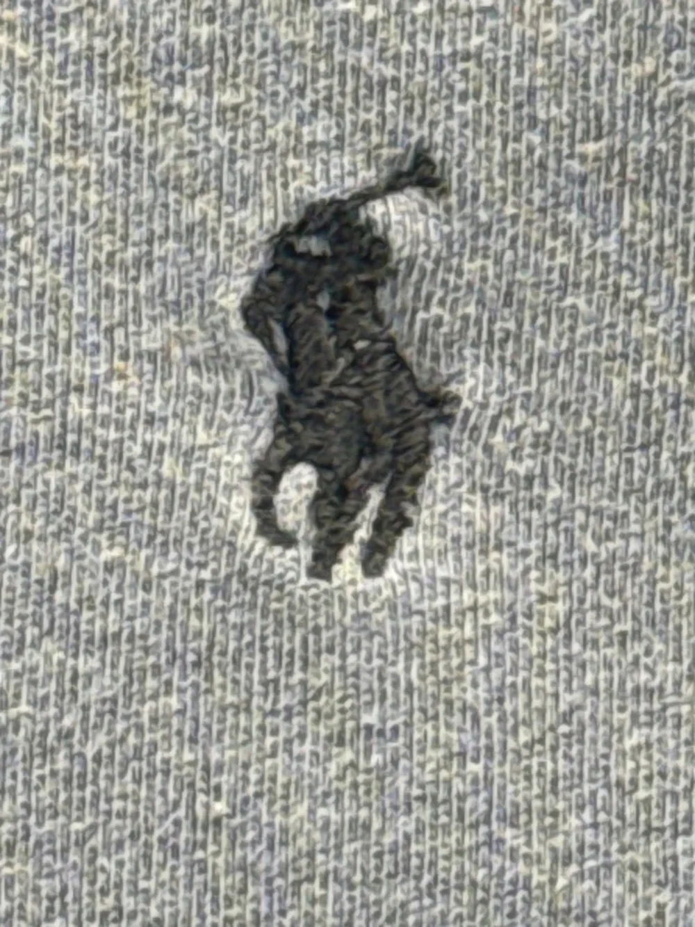 Polo Ralph Lauren logo clean fit